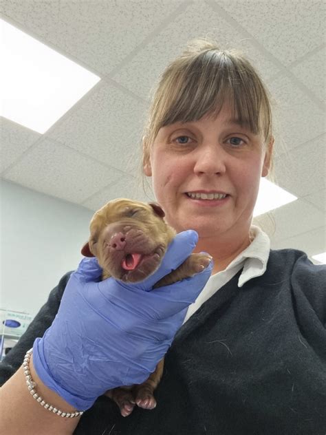 pets at home rawtenstall|vets in rawtenstall.